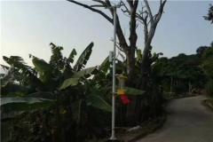 云飞自动清虫太阳能杀虫灯推动闽清县橄榄产业